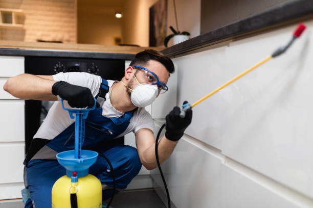 Best Wildlife Control Services  in Hardeeville, SC