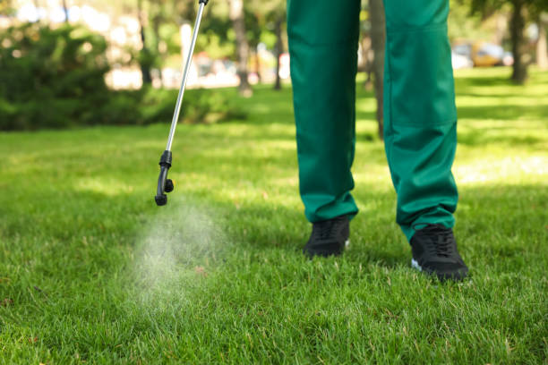 Best Flea Control Services  in Hardeeville, SC