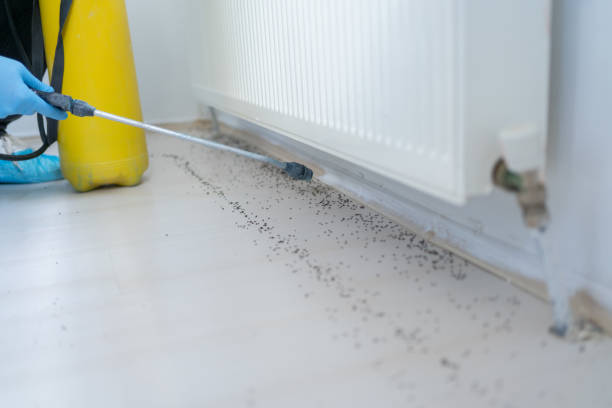 Best Exterminator Services  in Hardeeville, SC